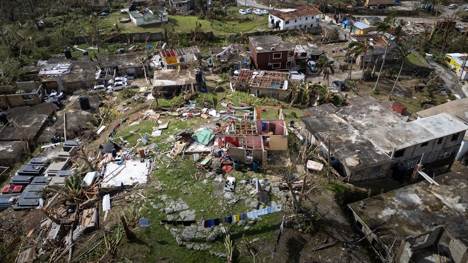 storm damage Leon Valley
