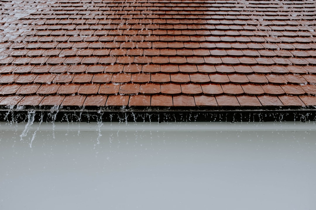 shingle leak repair